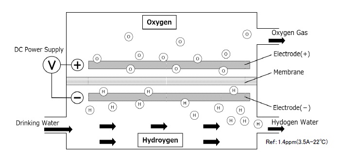 Electrolysis Cell of + h